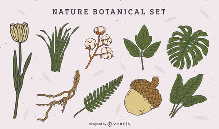 Conjunto de hojas naturales y elementos botánicos.