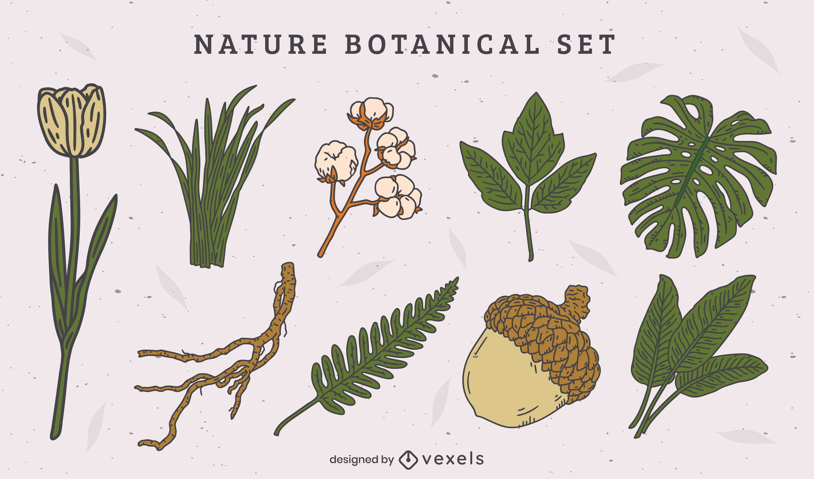 Set aus natürlichen Blättern und botanischen Elementen