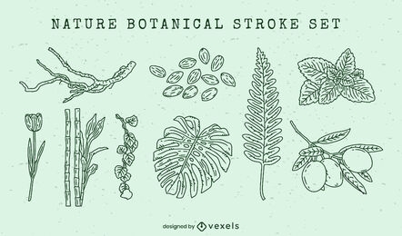 Conjunto de trazos de elementos botánicos de la naturaleza