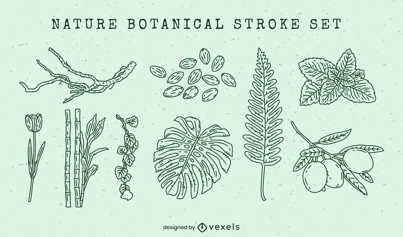 Conjunto de traços de elementos botânicos da natureza