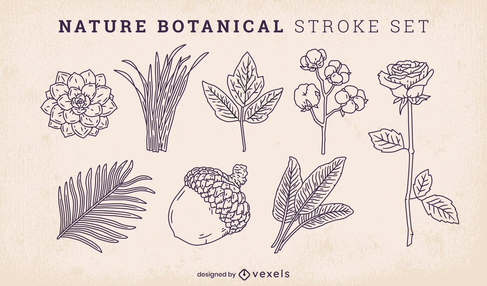 Hojas naturales y conjunto de trazos botánicos.