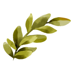 Aquarell Zweig der Blätter Natur PNG-Design