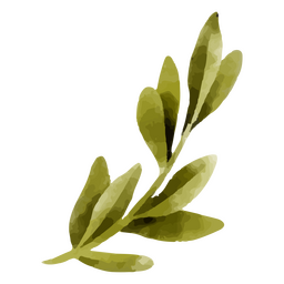 Aquarela verde deixa a natureza Desenho PNG