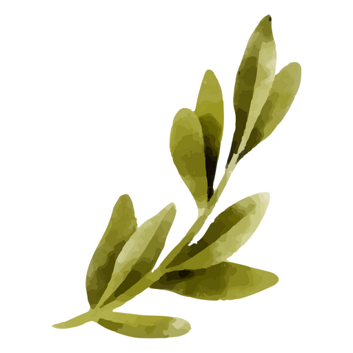 Green watercolor leaves nature PNG Design