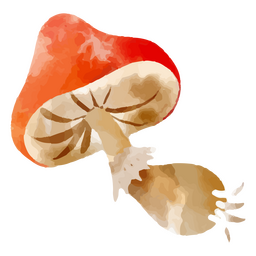 Elemento de aquarela de cogumelo único Desenho PNG