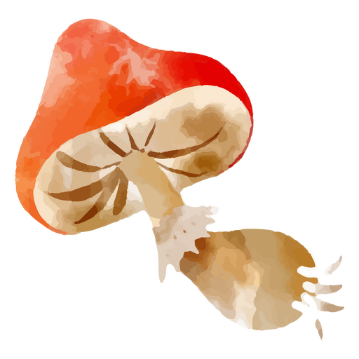 Elemento de aquarela de cogumelo único