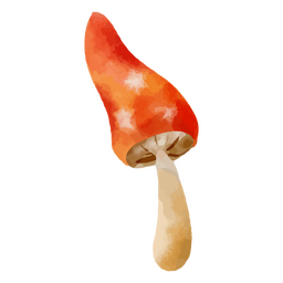 Long mushroom watercolor element