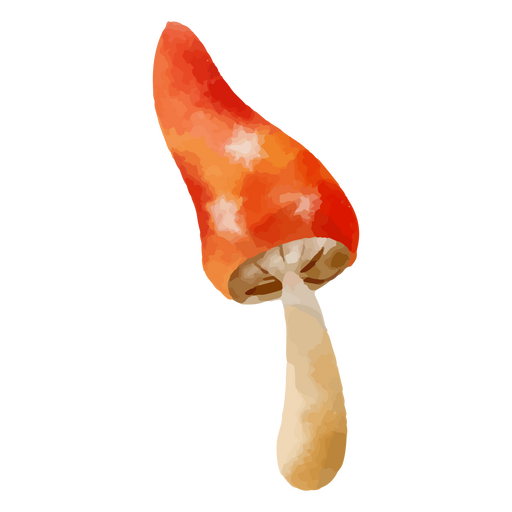 Elemento de acuarela de hongo largo Diseño PNG