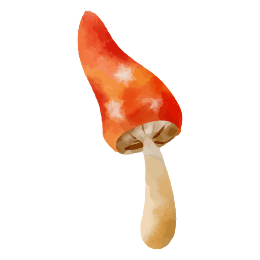 Elemento de aquarela de cogumelo longo Desenho PNG