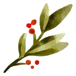 Aquarela de elemento de ramo de visco Desenho PNG
