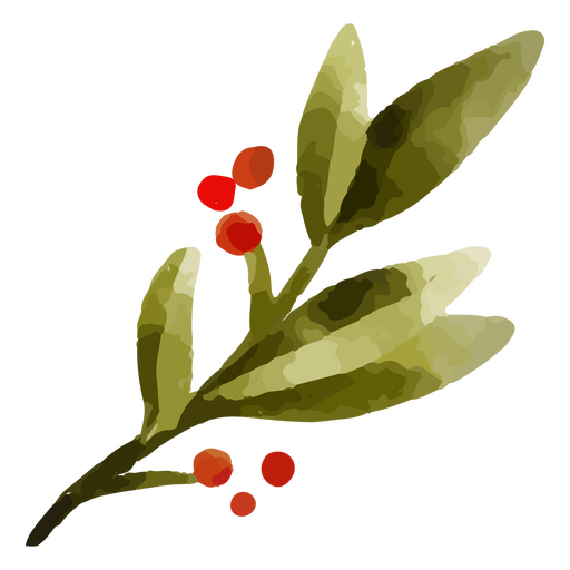 Mistletoe branch element watercolor 