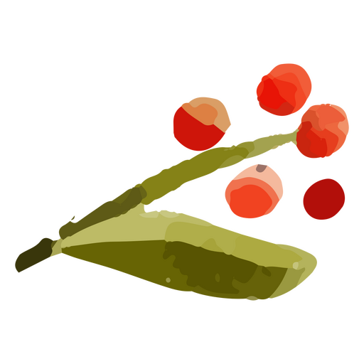Mistletoe element leaf watercolor PNG Design