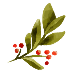 Watercolor mistletoe branch and leaves PNG Design Transparent PNG