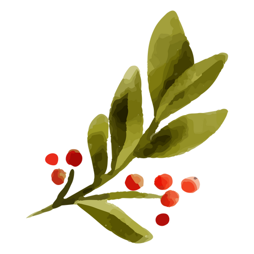 Watercolor mistletoe branch and leaves