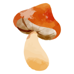 Elemento de acuarela de hongo grande Diseño PNG