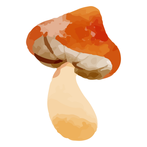 Large mushroom watercolor element