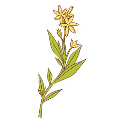 ilustração de flores amarelas Transparent PNG