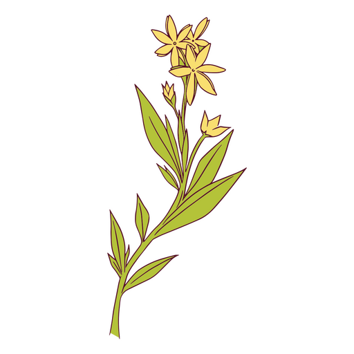 ilustração de flores amarelas