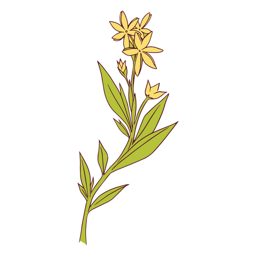 ilustração de flores amarelas Desenho PNG