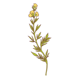 Pequeña ilustración de flores Diseño PNG