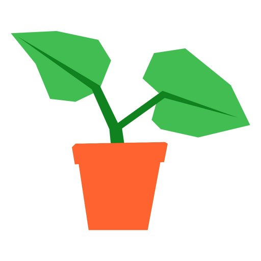 Plant in orange pot