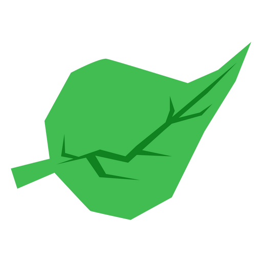 folha verde cortada à mão Desenho PNG