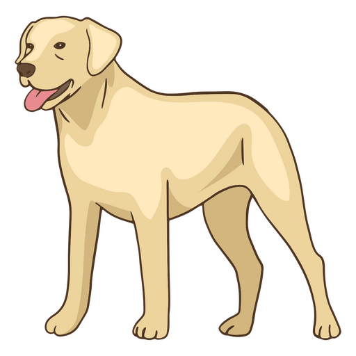 ? Golden retriever animal de estimação cão Desenho PNG