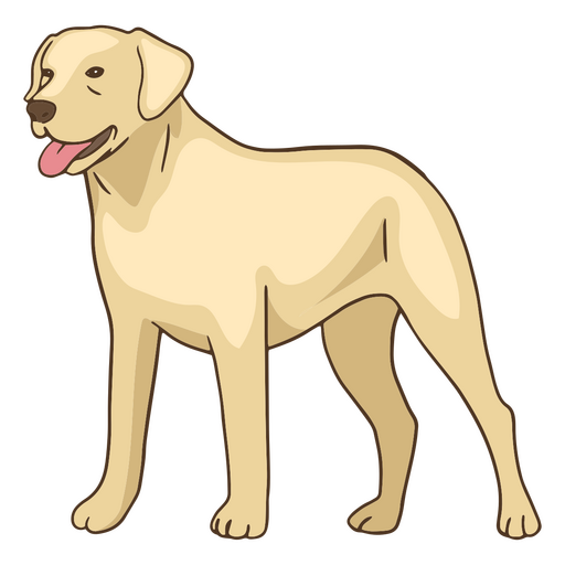 ? Golden Retriever Haustier Hund PNG-Design