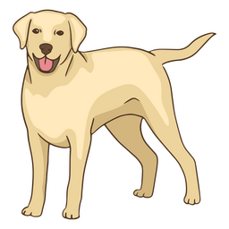 Golden Retriever Tier Haustier Hund PNG-Design