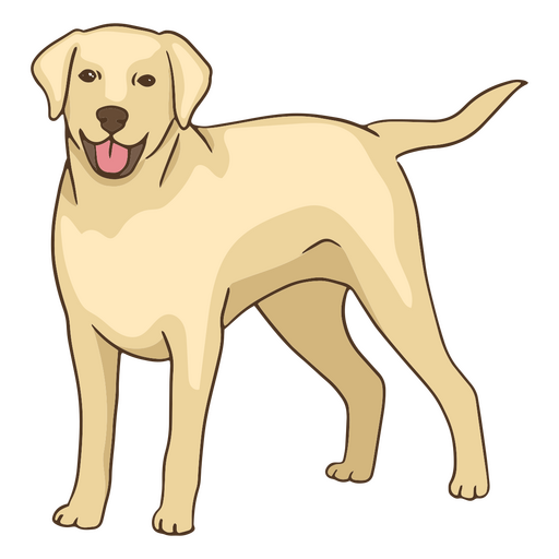Golden retriever animal pet dog PNG Design