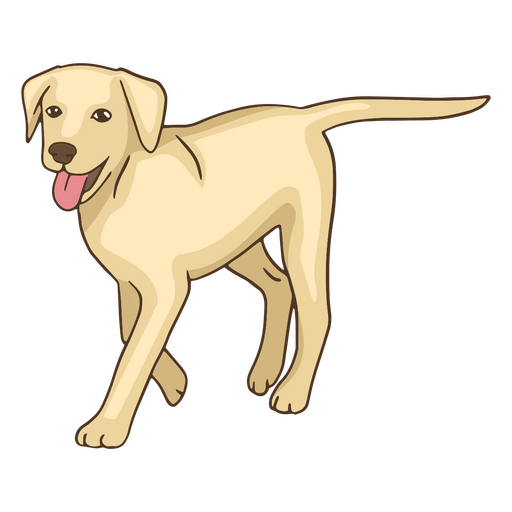 cão de estimação golden retriever Desenho PNG