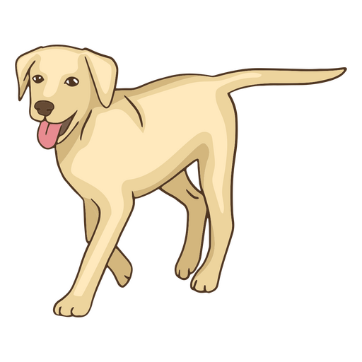 Golden retriever pet dog PNG Design