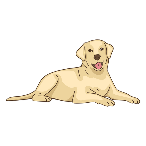 Golden retriever cute dog PNG Design