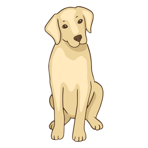 Golden retriever sitting dog PNG Design