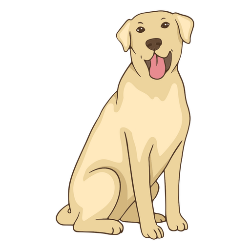 cão animal retriever dourado Desenho PNG