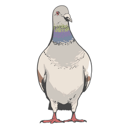 Detailed pigeon PNG Design