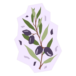 Olives flat plant