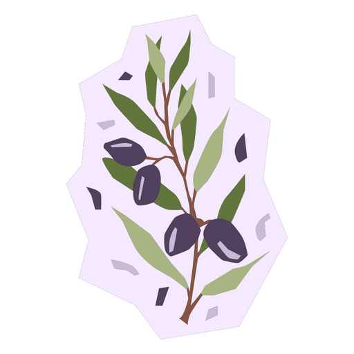 Planta plana de azeitonas Desenho PNG