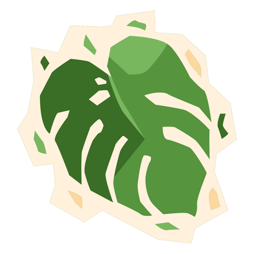 Monstera plant flat PNG Design