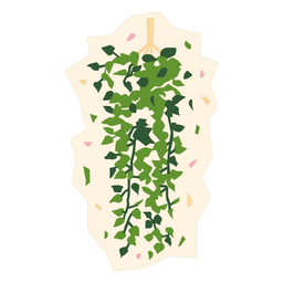 Efeu flache Pflanze PNG-Design