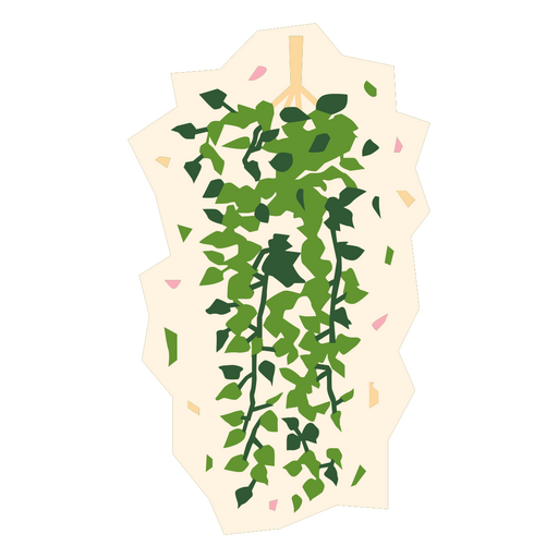 Ivy flat plant