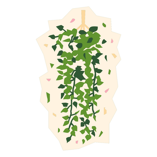 Planta plana de hera Desenho PNG