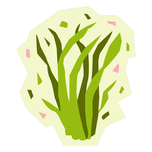 Harts tongue flat fern PNG Design