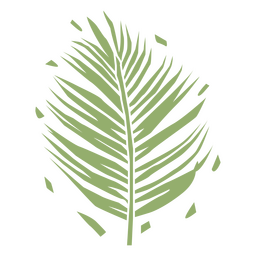 Planta plana de samambaia dura Desenho PNG