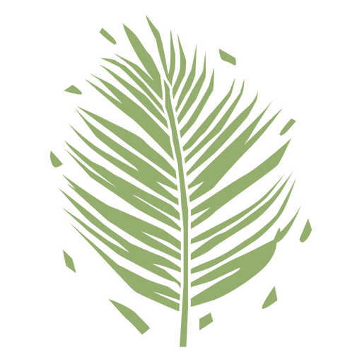 Hard fern flat plant PNG Design