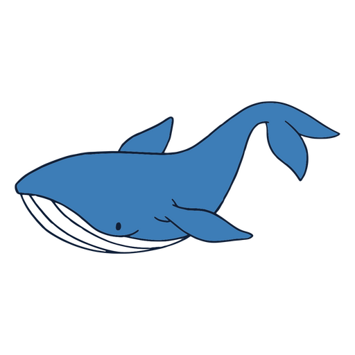 Blue whale sea animals  PNG Design