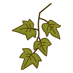 Planta de trepadeira Desenho PNG