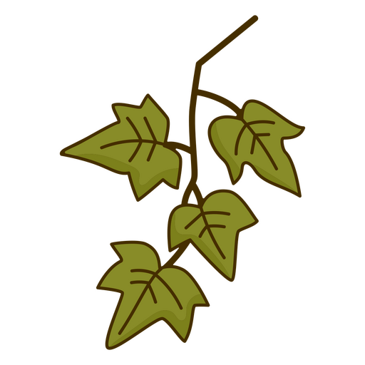 Kletternde Efeupflanze PNG-Design