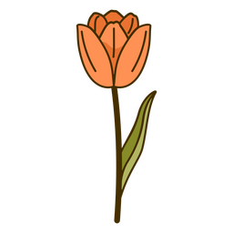 Orange tulip flower design 