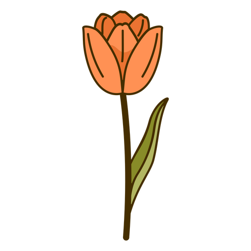 Dise?o de flor de tulip?n naranja Diseño PNG